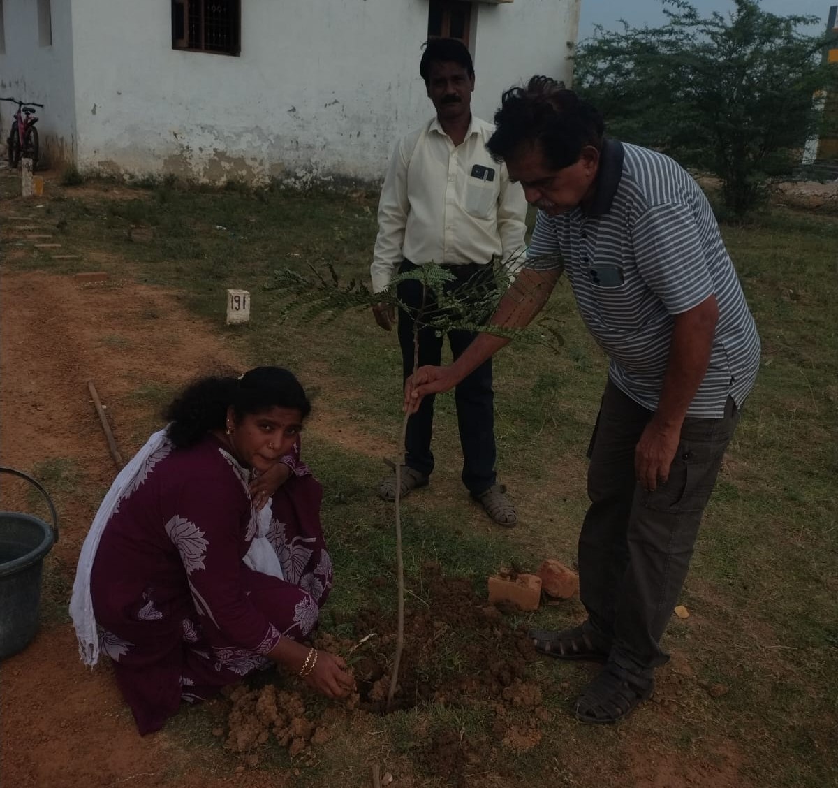 Tree Planting Support