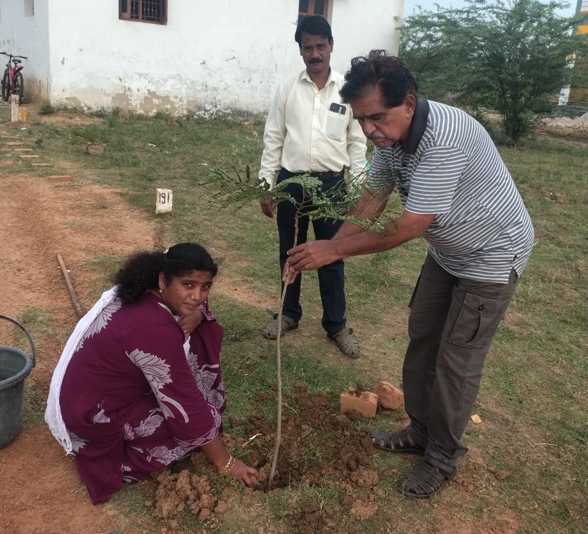 Tree Planting Support